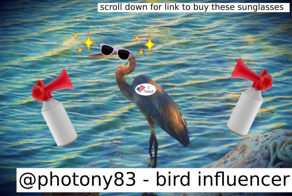 A bird wearing an "I voted sticker" and sunglasses, with accompanying air horns and labels proclaiming my social media brilliance.